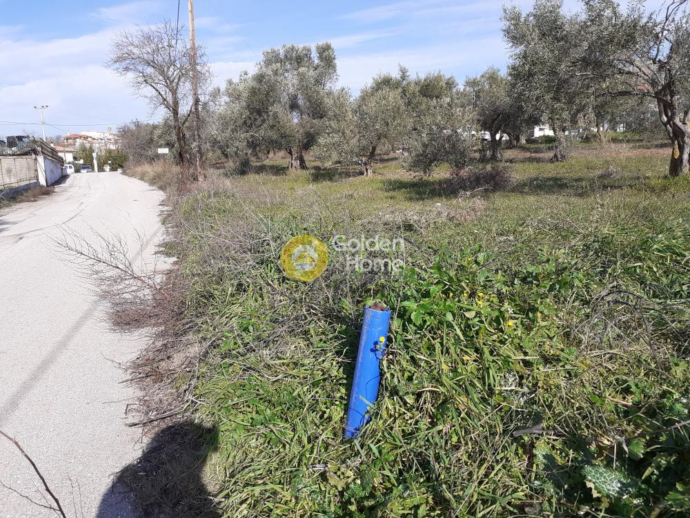 Οικόπεδο 2.368 τ.μ. προς πώληση, Καπανδρίτι Αττικής