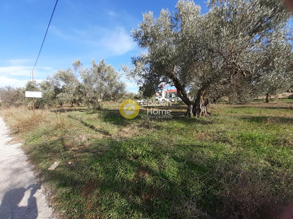 Οικόπεδο 2.368 τ.μ. προς πώληση, Καπανδρίτι Αττικής