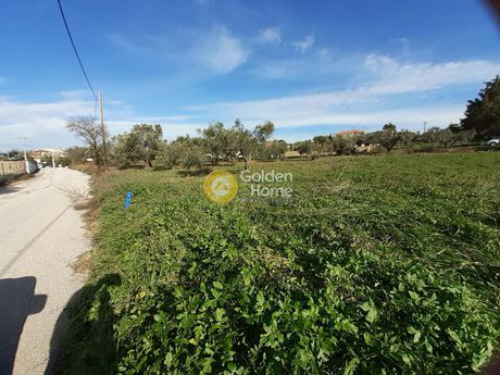 Land plot 2.368sqm for sale-Com. Kapandriti » Kapandriti