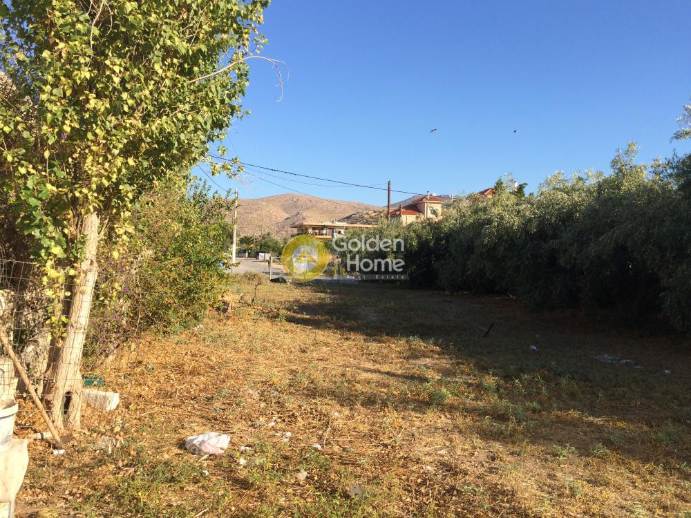 Οικόπεδο 667 τ.μ. προς πώληση, Λαγονήσι