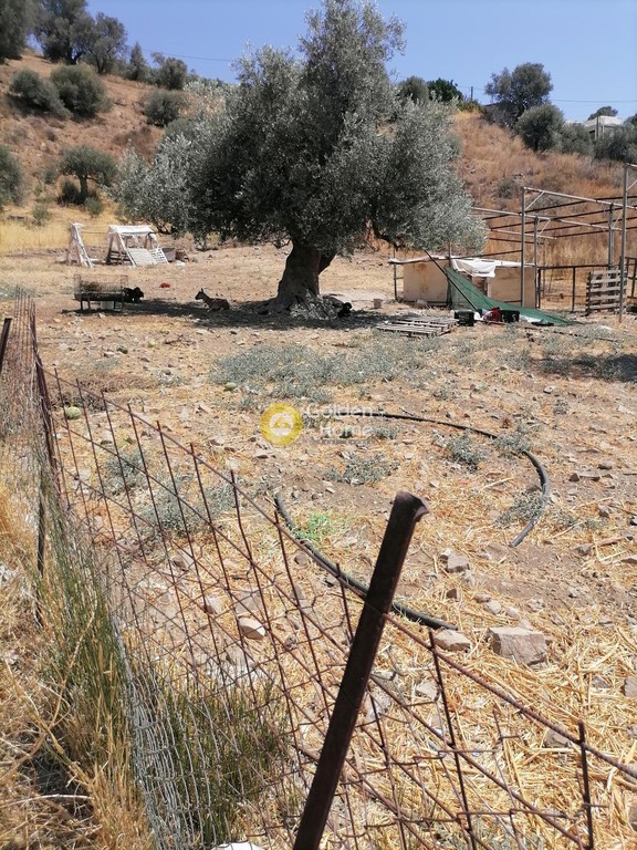 Οικόπεδο 2.500 τ.μ. προς πώληση, Σκούρβουλα