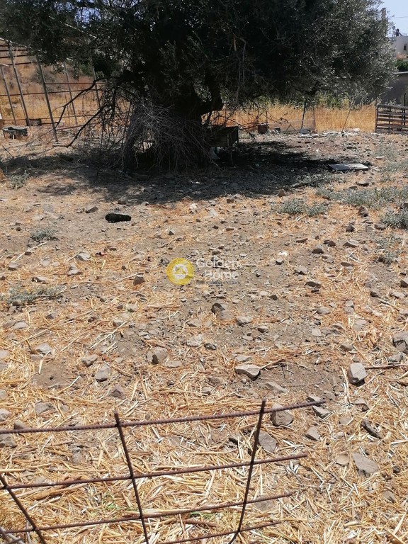Οικόπεδο 2.500 τ.μ. προς πώληση, Σκούρβουλα