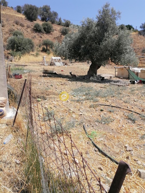 Οικόπεδο 2.500 τ.μ. προς πώληση, Σκούρβουλα
