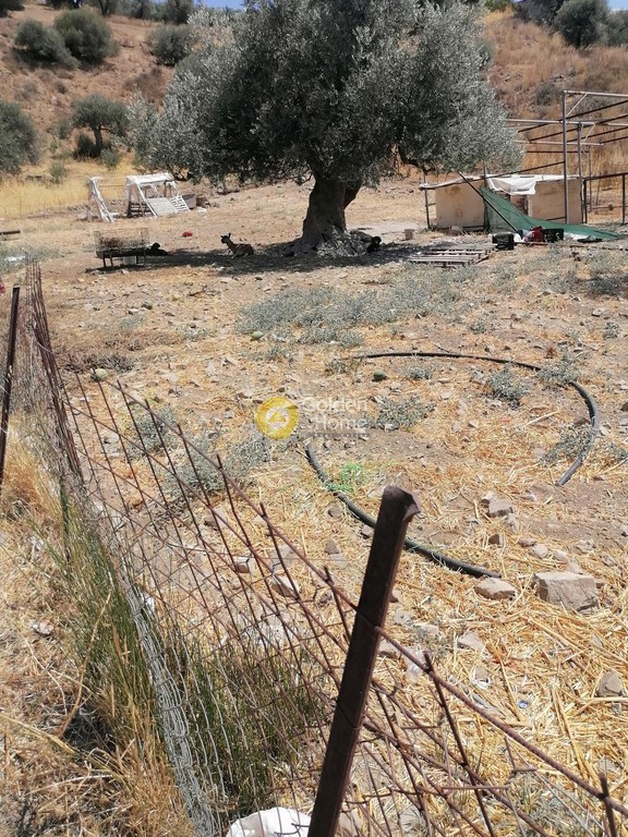 Οικόπεδο 2.500 τ.μ. προς πώληση, Σκούρβουλα