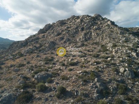 Οικόπεδο 7.000τ.μ. για πώληση-Ιεράπετρα » Καλλιθέα