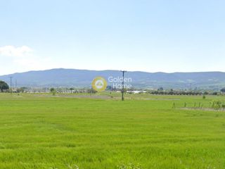 Αγροτεμάχια 6.650 τ.μ. για πώληση