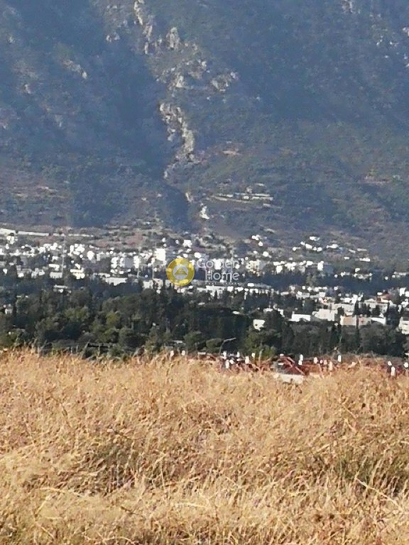 Αγροτεμάχια 10.000 τ.μ. προς πώληση, Ποσειδωνία Κορίνθου