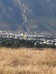 Αγροτεμάχια 10.000 τ.μ. για πώληση