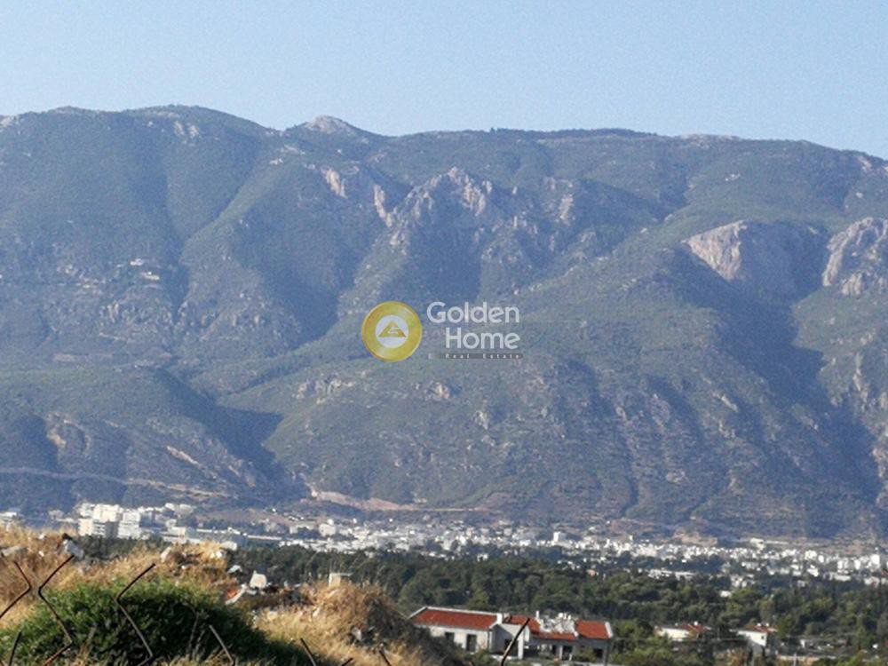 Αγροτεμάχια 10.000 τ.μ. προς πώληση, Ποσειδωνία Κορίνθου
