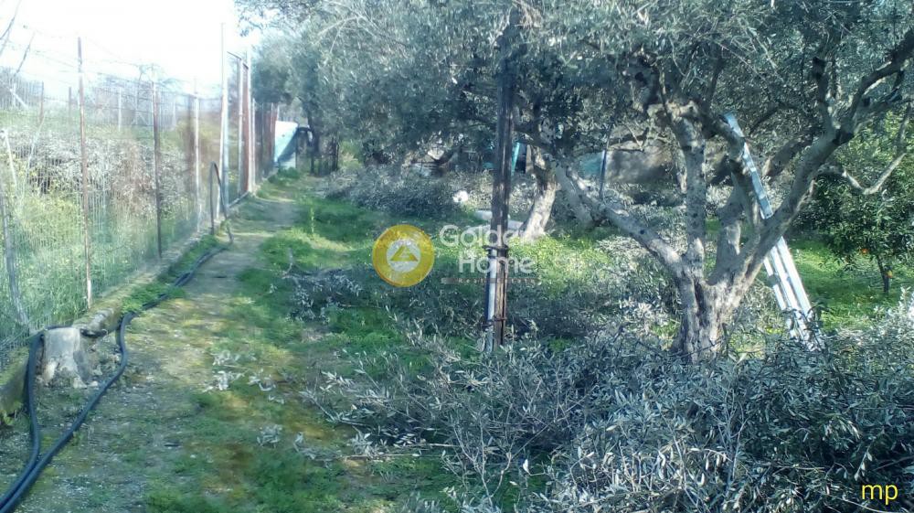 Οικόπεδο 2.498 τ.μ. προς πώληση, Μονόχωρο