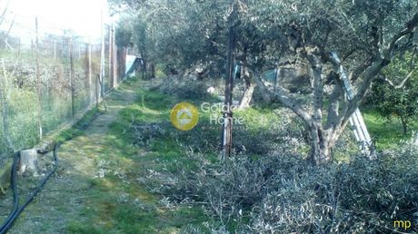 Οικόπεδο 2.498τ.μ. για πώληση-Μοίρες » Μονόχωρο
