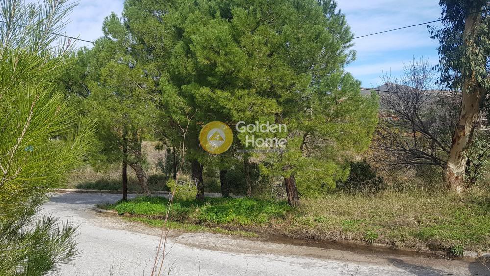Οικόπεδο 1.065 τ.μ. προς πώληση, Ντράφι