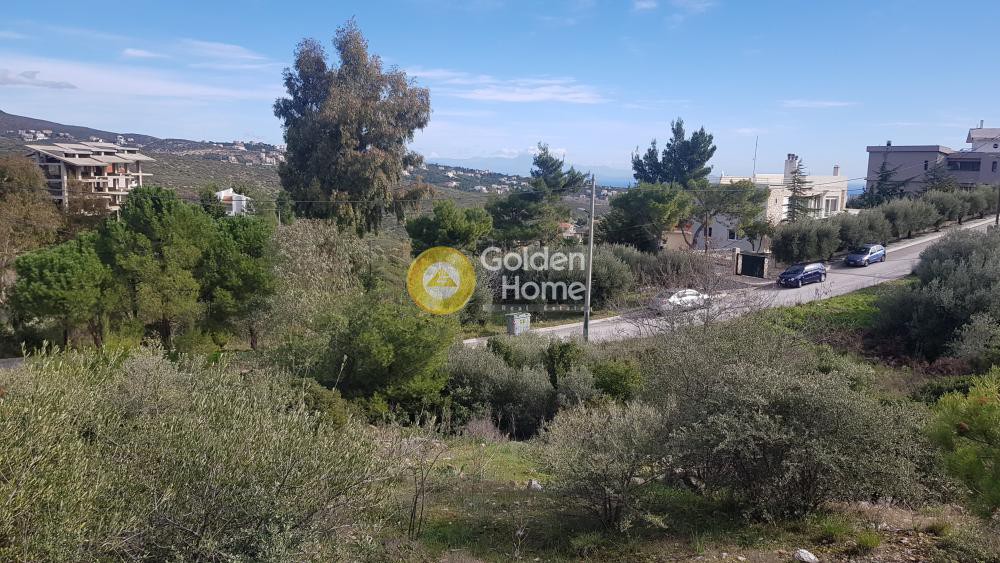 Οικόπεδο 1.065 τ.μ. προς πώληση, Ντράφι