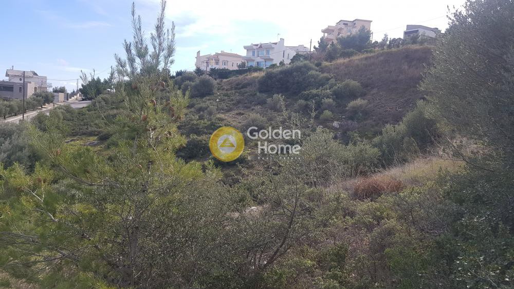 Οικόπεδο 1.065 τ.μ. προς πώληση, Ντράφι