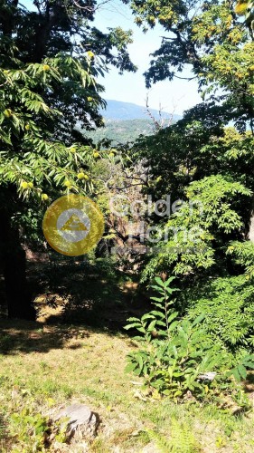 Οικόπεδο 14.295 τ.μ. πρός πώληση, Μαγνησία, Μούρεσι
