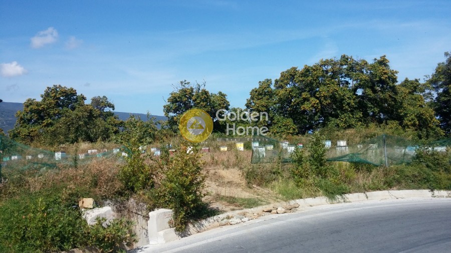 Οικόπεδο 14.295 τ.μ. πρός πώληση, Μαγνησία, Μούρεσι