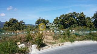 Οικόπεδο 14.295 τ.μ. για πώληση