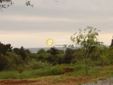 Οικόπεδο 513 τ.μ. για πώληση