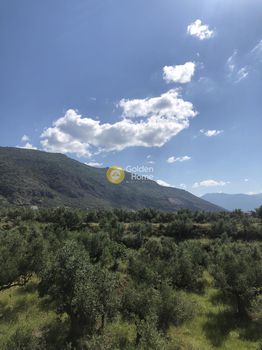Αγροτεμάχια 13.500τ.μ. για πώληση-Καλαμάτα » Κατσαραίικα