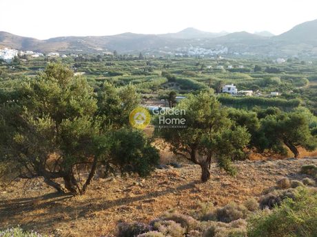 Parcel 1.225sqm for sale-Naxos » Eggares
