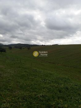Parcel 178.000sqm for sale-Fares » Koutsouneika
