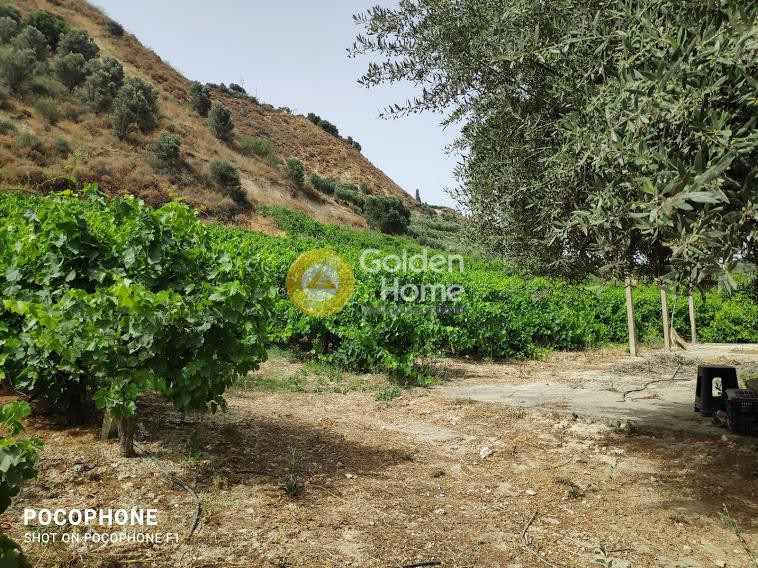 Οικόπεδο 7.500 τ.μ. προς πώληση, Σταυράκια