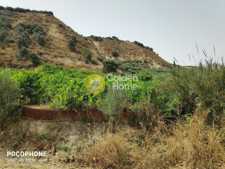 Οικόπεδο 7.500 τ.μ. προς πώληση, Σταυράκια