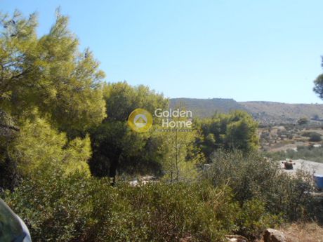 Land plot 1.050sqm for sale-Spata » Imeros Pefkos