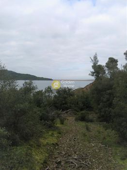 Land plot 50.000sqm for sale-Fares » Papakosteika