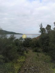 Οικόπεδο 50.000 τ.μ. για πώληση
