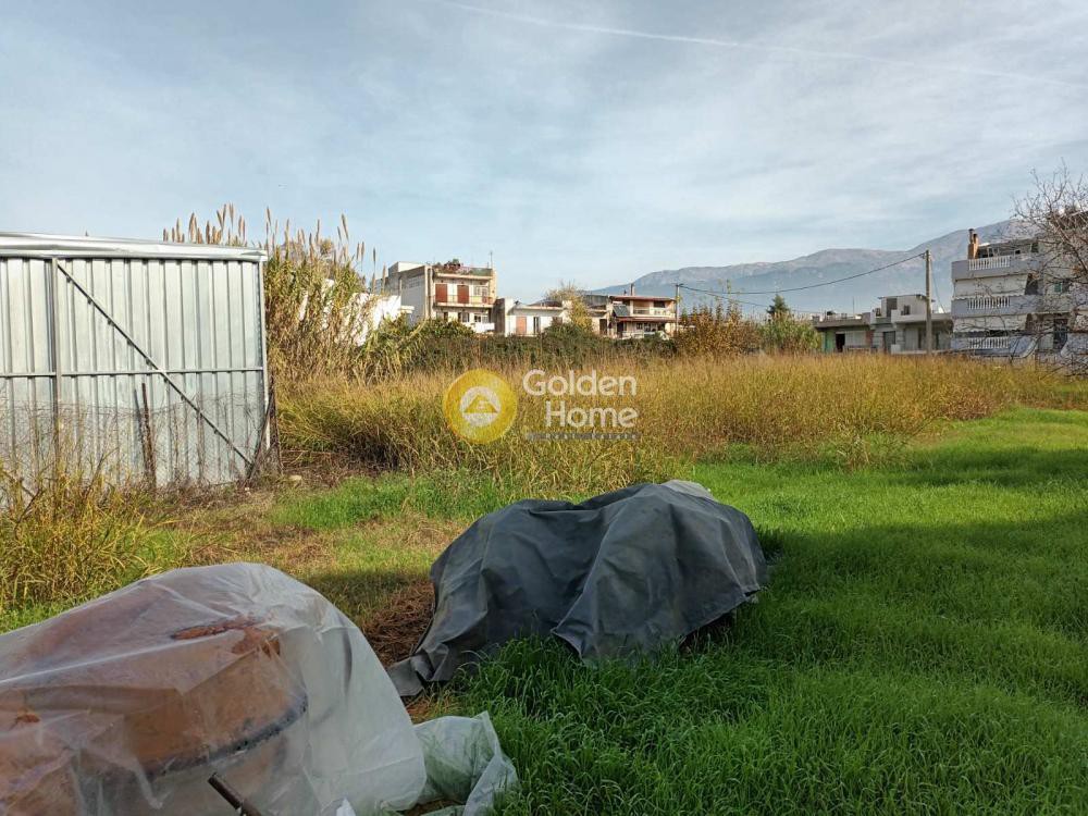 Οικόπεδο 1.418 τ.μ. προς πώληση, Ιτιές