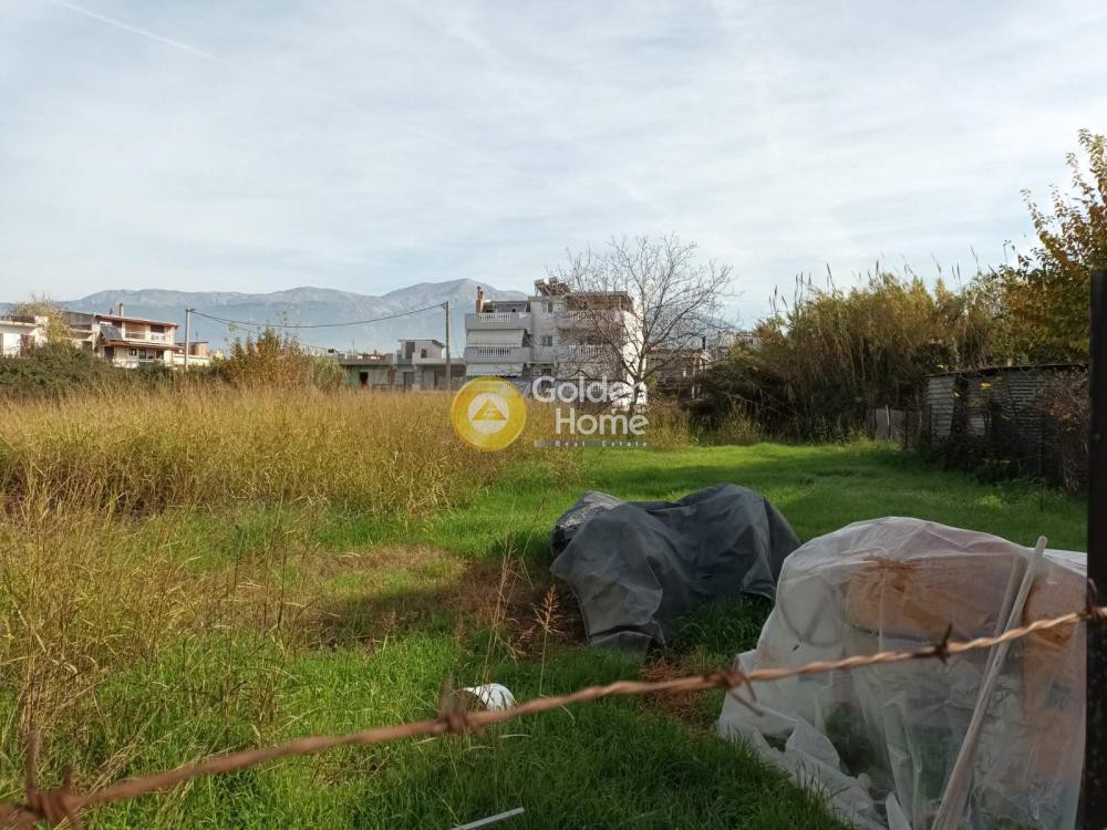 Οικόπεδο 1.418 τ.μ. προς πώληση, Ιτιές