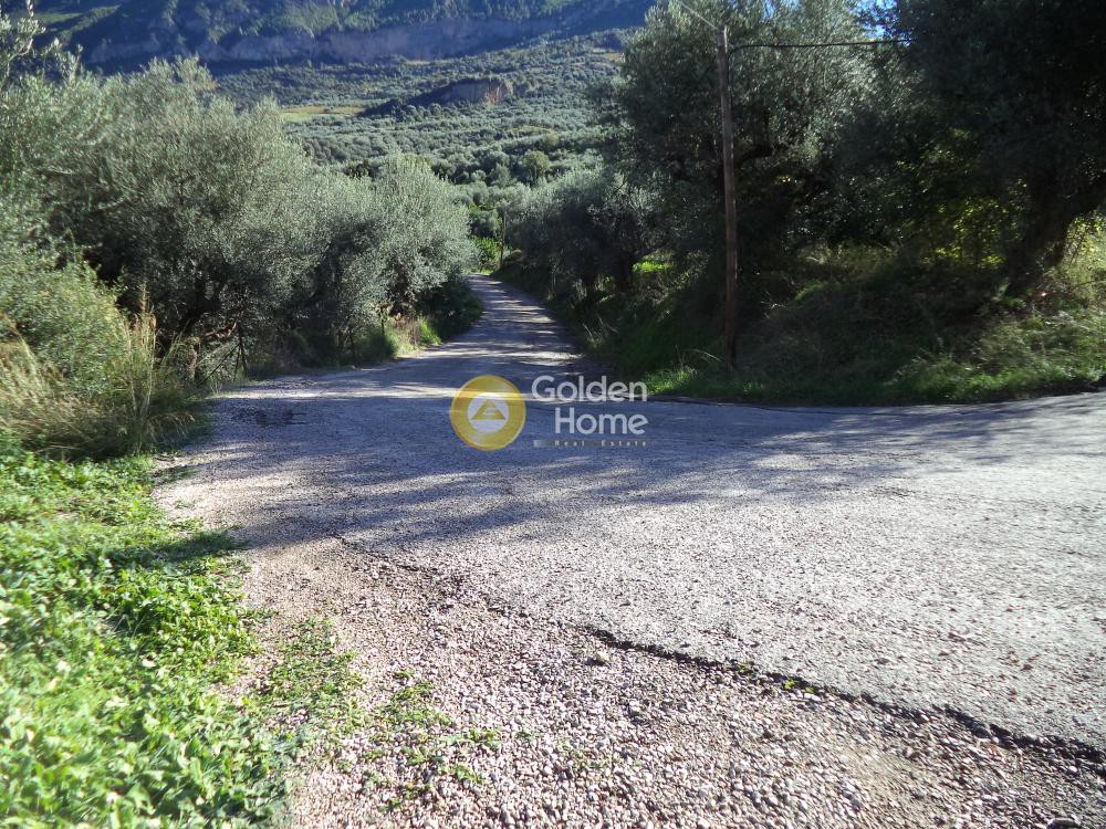 Αγροτεμάχια 650 τ.μ. προς πώληση, Άγιος Ανδρέας Αιγίου