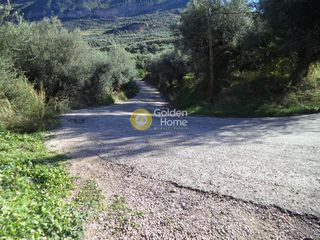 Αγροτεμάχια 650 τ.μ. προς πώληση, Άγιος Ανδρέας Αιγίου-thumb-2