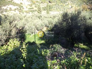 Αγροτεμάχια 650 τ.μ. προς πώληση, Άγιος Ανδρέας Αιγίου-thumb-5