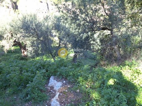 Parcel 650sqm for sale-Aigio » Agios Andreas
