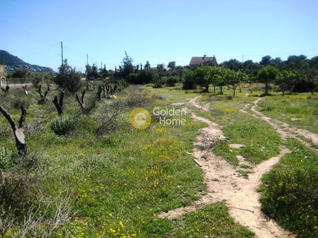 Land plot 8.500sqm for sale-Koropi » Agia Marina