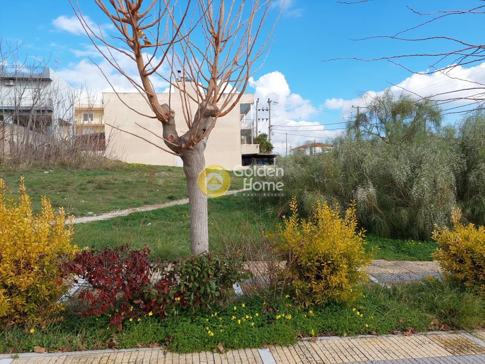 Οικόπεδο 691 τ.μ. προς πώληση, Κέντρο Σπάτων