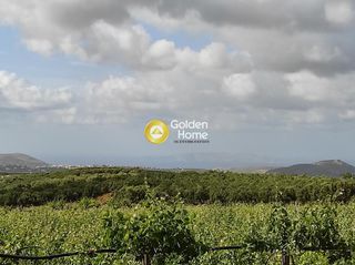 Οικόπεδο 1.500 τ.μ. για πώληση