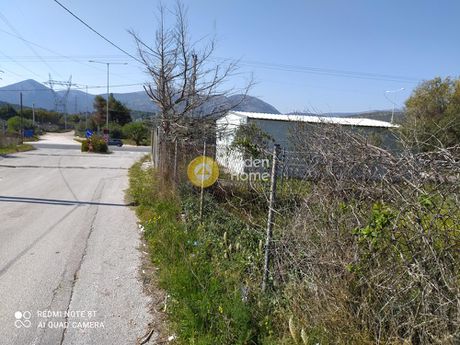 Land plot 7.000sqm for rent-Koropi » Skarpiza