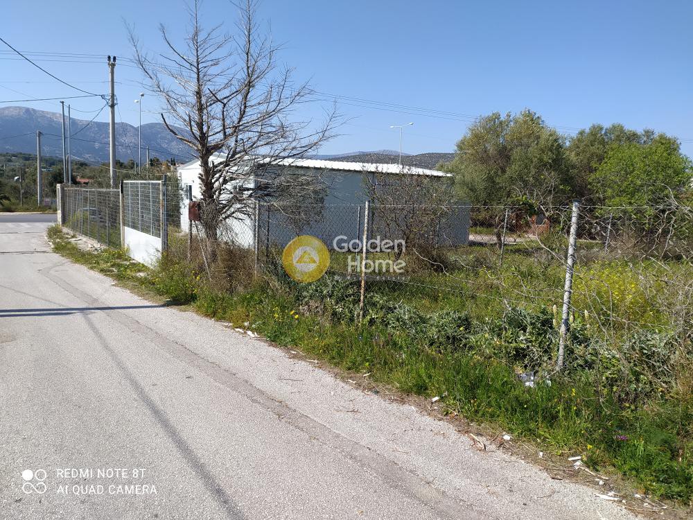 Οικόπεδο 7.000 τ.μ. προς ενοικίαση, Κίτσι