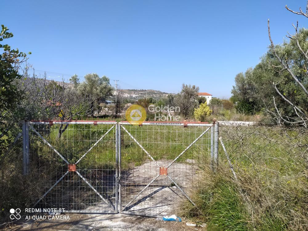 Οικόπεδο 7.000 τ.μ. προς ενοικίαση, Κίτσι
