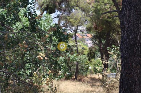 Land plot 3.447sqm for sale-Marousi » Agios Thomas