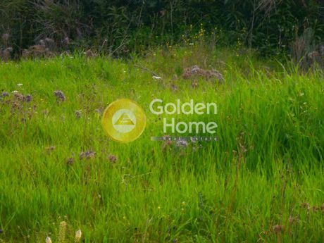 Land plot 1.100sqm for sale-Anavissos » Mavro Lithari