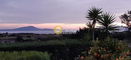 Building 164sqm for sale-Naxos - Drimalia » Pyrgaki