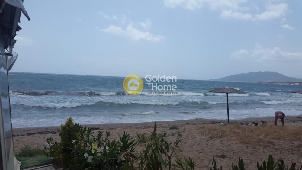 Κατάστημα 280 τ.μ. προς πώληση, Μεσοβάρδα