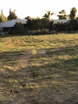 Parcel 20.000sqm for rent-Acharnes » Varimpompi