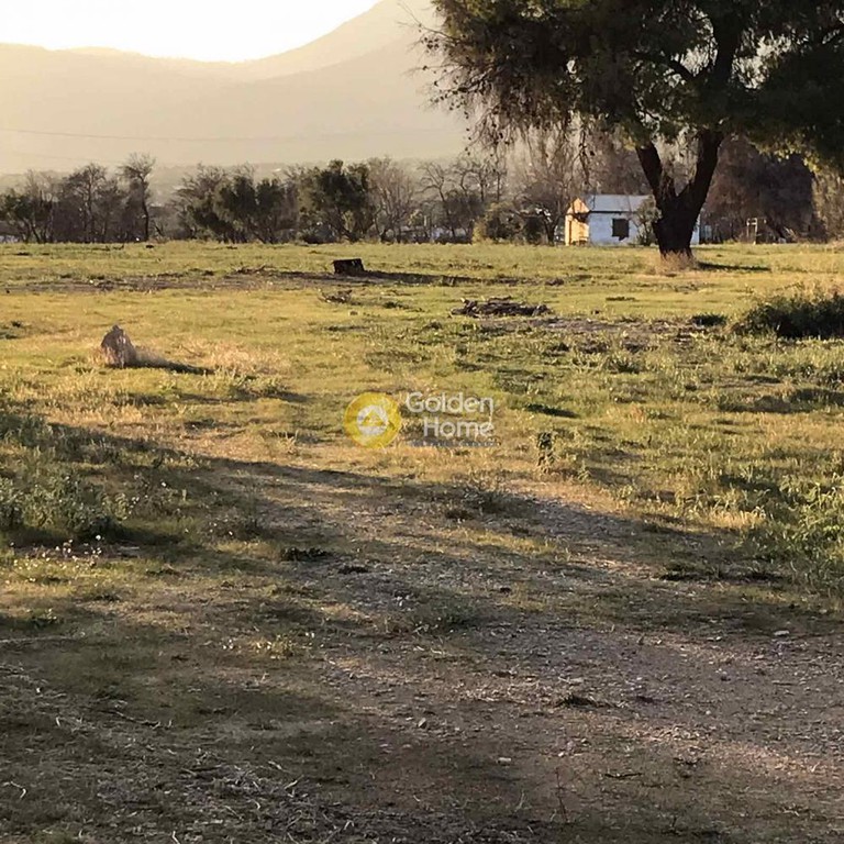 Αγροτεμάχια 20.000 τ.μ. προς ενοικίαση, Αθήνα - Δυτικά Προάστια, Αχαρνές