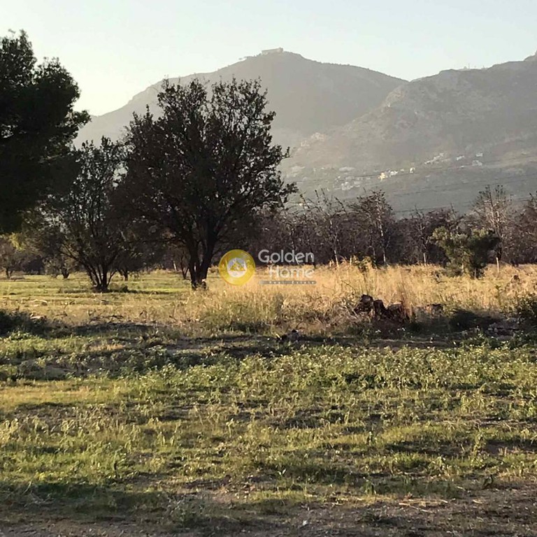 Αγροτεμάχια 20.000 τ.μ. προς ενοικίαση, Αθήνα - Δυτικά Προάστια, Αχαρνές