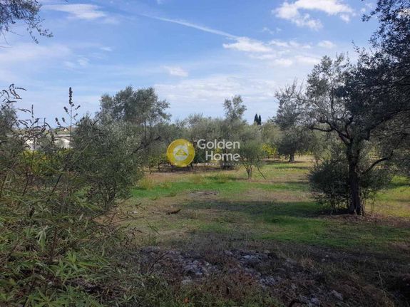Land plot 2.300 sqm for sale, Achaia, Kalavrita